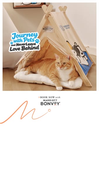 This image ad promotes Marriott Bonvoy as a pet-friendly hotel. It features a cat relaxing in a tent branded with the Ma