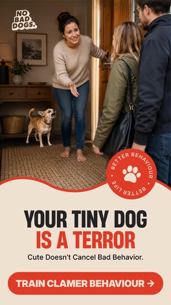 Tom Davis Dog Training ad