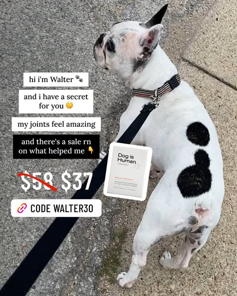 Walter Geoffrey ad