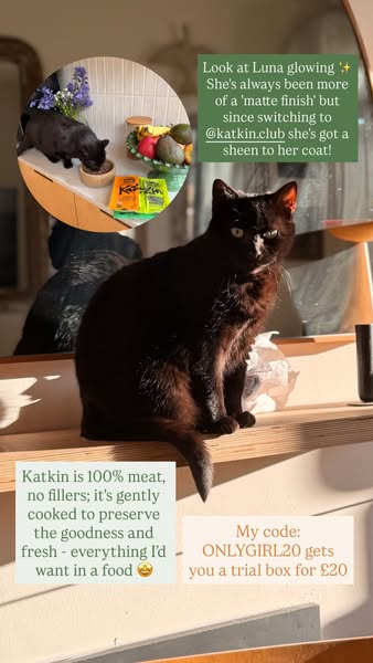 This ad promotes Katkin cat food. It highlights the improved coat of a cat named Luna since switching to Katkin, emphasi