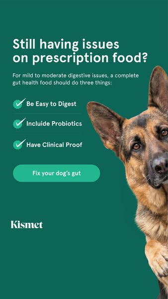 Dr. Kwane Stewart ad