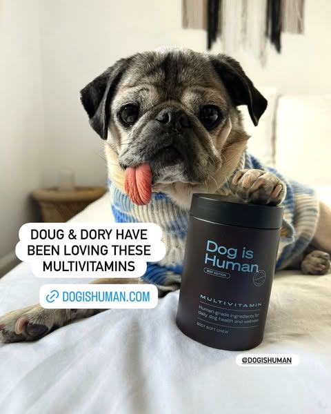 Doug The Pug ad