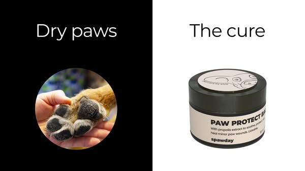 Elvis Batz ad