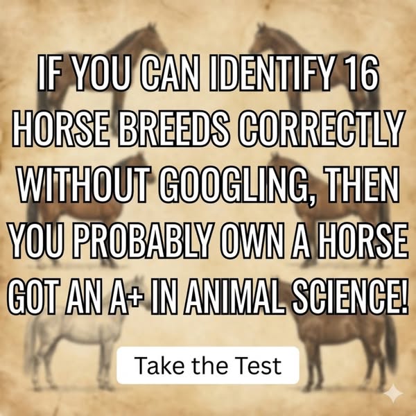 The ad is an image with the text asking the viewer if they can identify 16 horse breeds without googling. The text conti