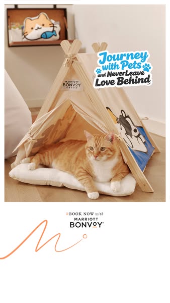 This image ad promotes Marriott Bonvoy's pet-friendly travel options, featuring a cozy pet tent and a cat relaxing i