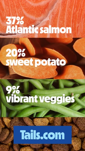 This image ad highlights the key ingredients and their percentages in Tails.com dog food.