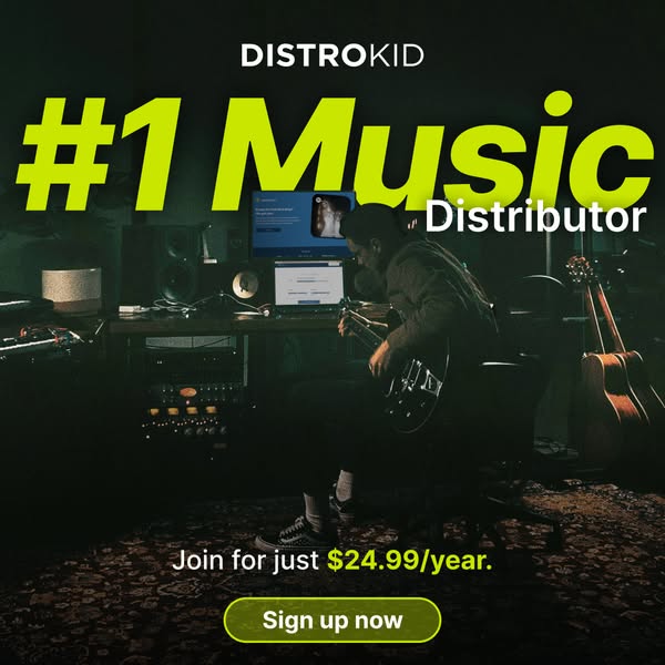 This ad promotes DistroKid as the number one music distributor. It features a musician in a studio setting and highlight