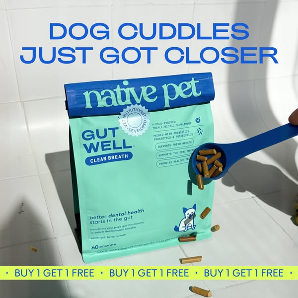 The ad promotes Native Pet Gut Well supplements for dogs to improve dental health and breath. The ad presents a bag of t