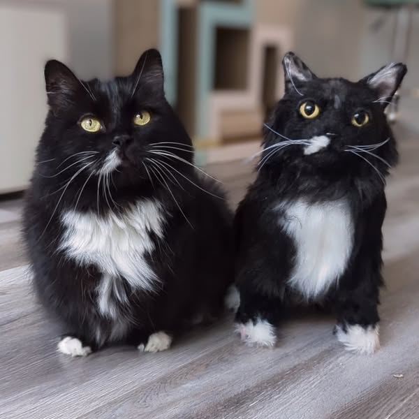 This ad features two plush cat-like figures with a black and white color scheme. The photo is centered on the two object