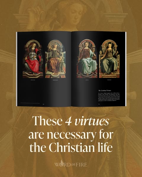 Bishop Robert Barron ad