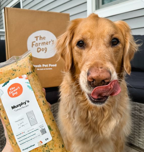 themgoldenboys ad