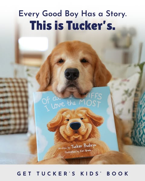 Tucker Budzyn ad