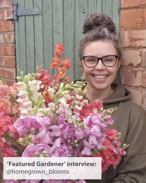 Homegrown Blooms ad