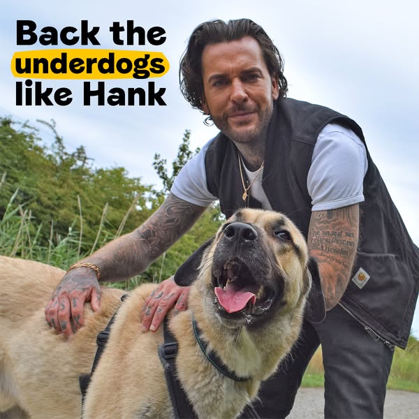 Pete Wicks ad