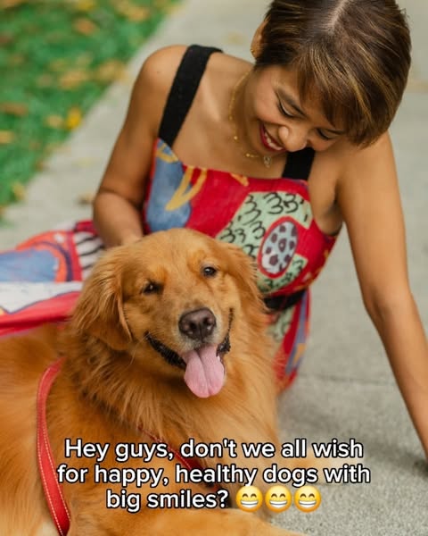 Dr.Paws ad