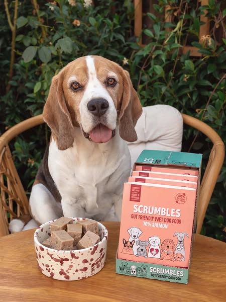 basil_the_beagle.uk ad