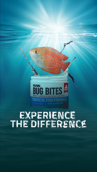 This ad showcases Fluval Bug Bites Tropical Fish Formula with an underwater theme, featuring a fish leaping above the pr