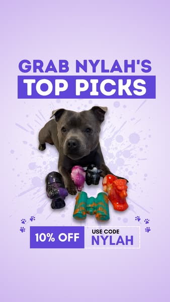 Nylah the blue Staffy ad