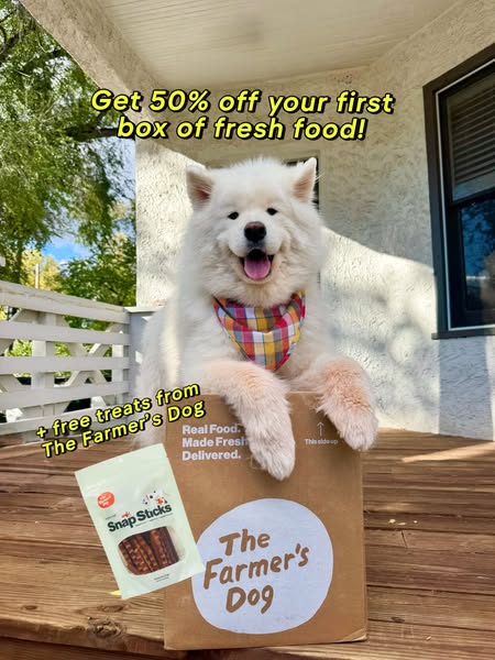 Carl The Sammy ad