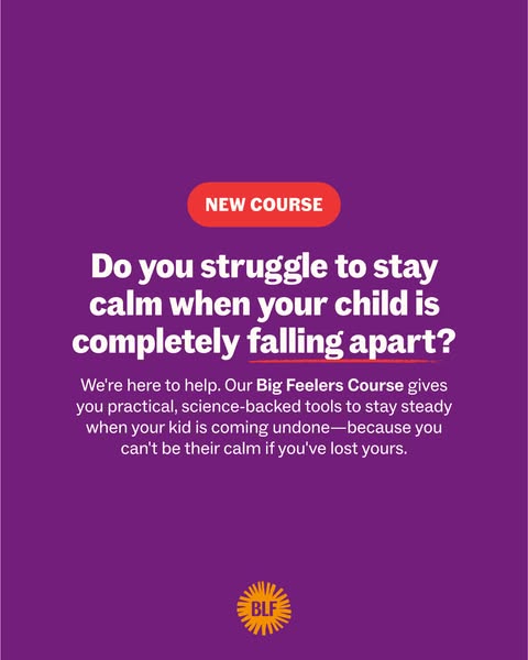 This ad for the Big Feelers Course addresses the challenges parents face when their child is having a meltdown. It offer