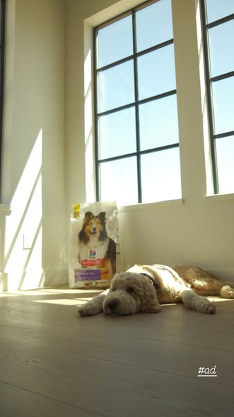 Style Fit Fatty ad