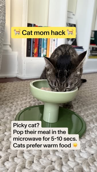 The ad is a hack on how to get picky cats to eat by warming up their food for 5-10 seconds.