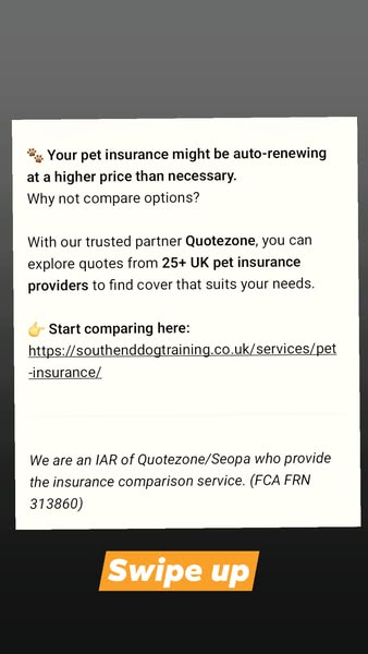 SouthendDogTraining ad