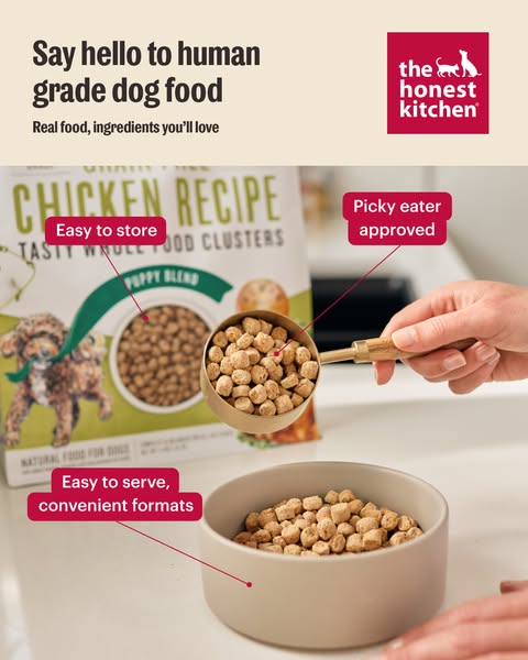This ad for The Honest Kitchen dog food highlights the brand's commitment to human-grade ingredients and convenient 