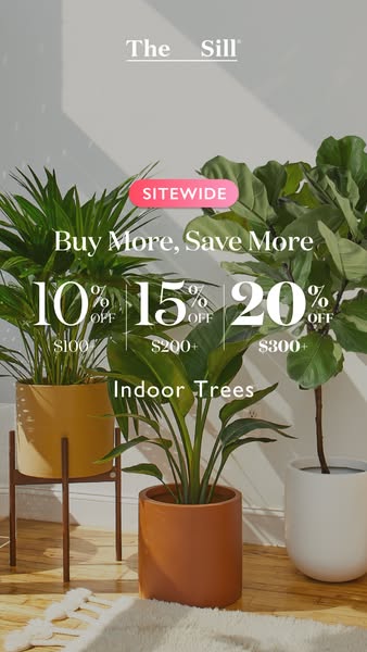 This ad promotes The Sill's indoor trees and a sitewide promotion that allows customers to save more when they buy m