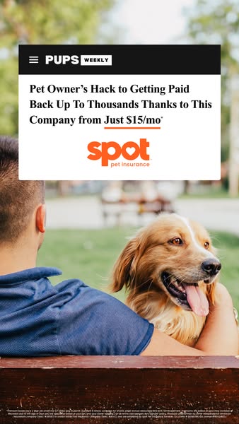 Spot Pet Insurance ad