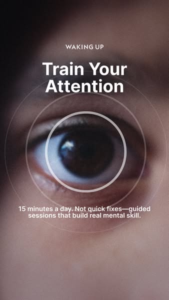 The image ad is for the Waking Up app. The ad highlights how the app provides guided sessions that build real mental ski
