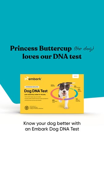 This image ad for Embark features a dog DNA test. The ad showcases the product with a dog and highlights the value propo