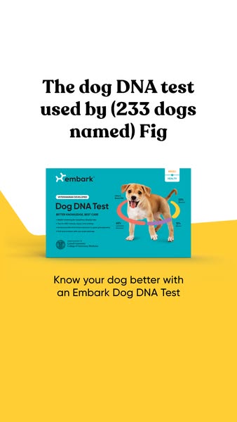 The ad is for Embark Dog DNA Test. It has a photo of the product, a teal box with a dog pictured on it. The ad states, &