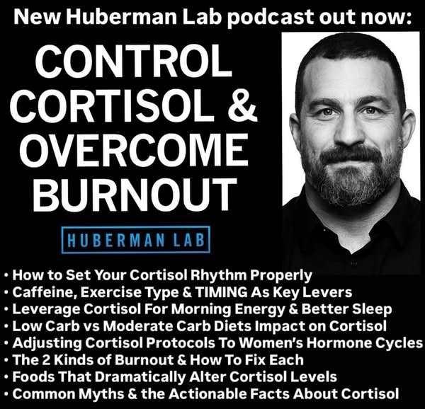 Andrew Huberman ad