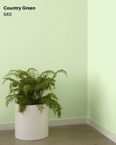 Benjamin Moore ad