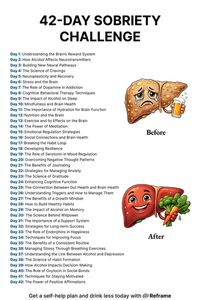 This ad promotes a 42-day sobriety challenge from Reframe. The ad uses a before and after approach using a liver with a 
