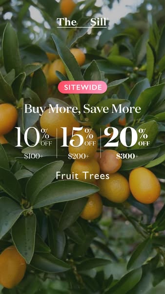 This image ad by The Sill promotes fruit trees with a sitewide discount of 10% off orders of $100+, 15% off orders of $2