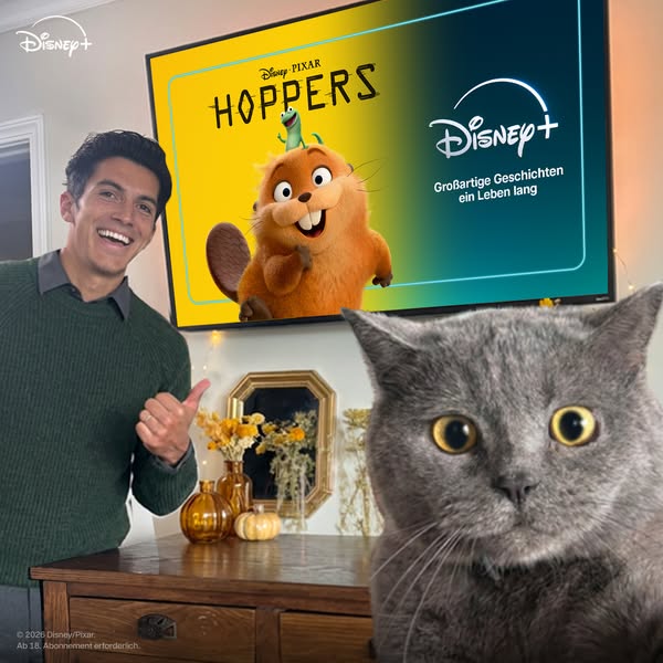 Aaron's Animals ad