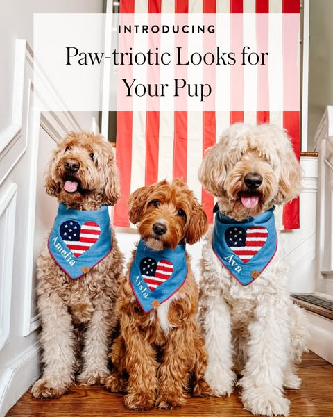 This image ad promotes 'Paw-triotic Looks for Your Pup,' featuring three dogs wearing patriotic-themed bandanas 