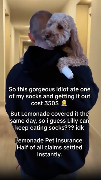 Lemonade ad