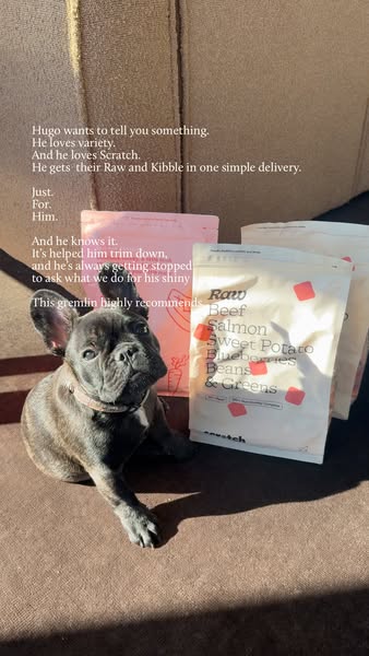 Scratch Dog Food 🐶 ad
