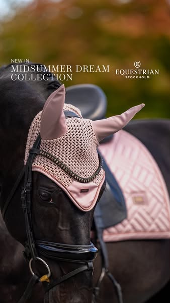 This ad showcases a new collection of Equestrian Stockholm horsewear. The advertisement features a close-up of a horse w
