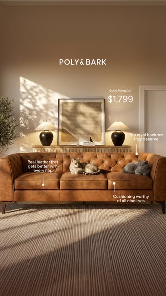 An image ad for Poly & Bark features a brown leather couch with two cats lounging on it. Text annotations highlight 