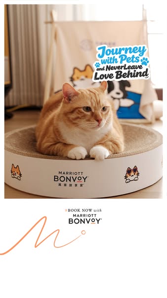 This image ad for Marriott Bonvoy encourages pet owners to book a stay with their pets. It features a light orange tabby