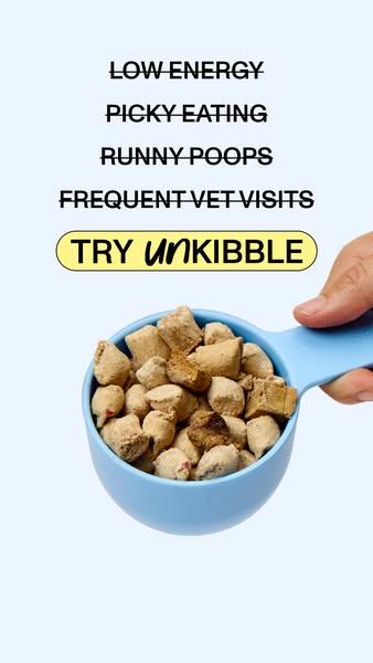 This ad highlights common issues dog owners face, such as low energy, picky eating, runny poops, and frequent vet visits