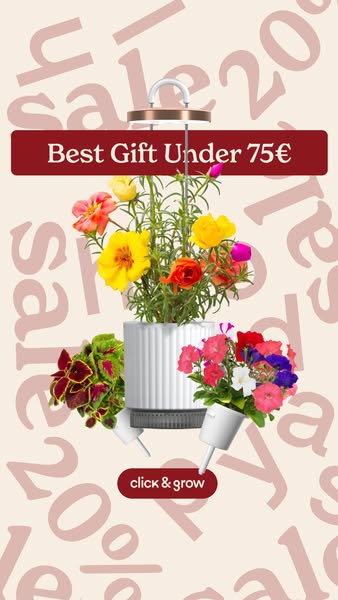 This ad promotes Click & Grow's indoor gardening system as a gift option under 75€, highlighting the ease of gro