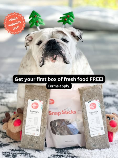 Eggnogthebulldog ad