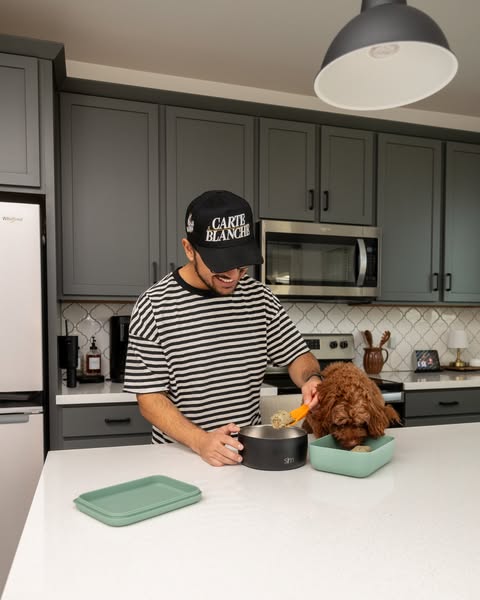 Silvz ad