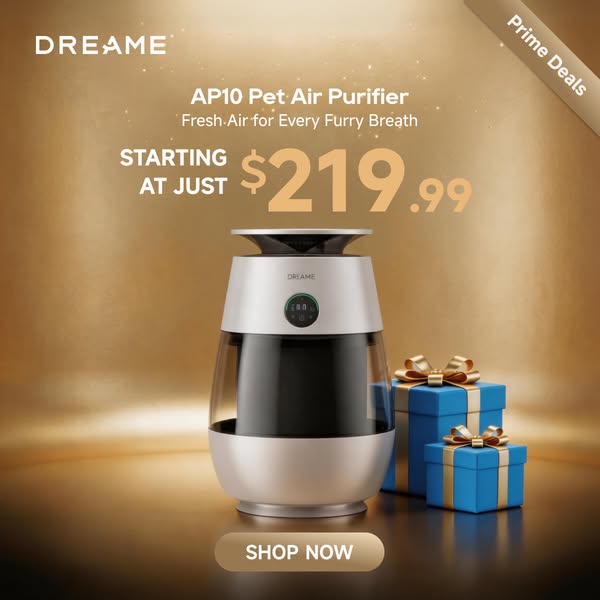 DreameUS ad
