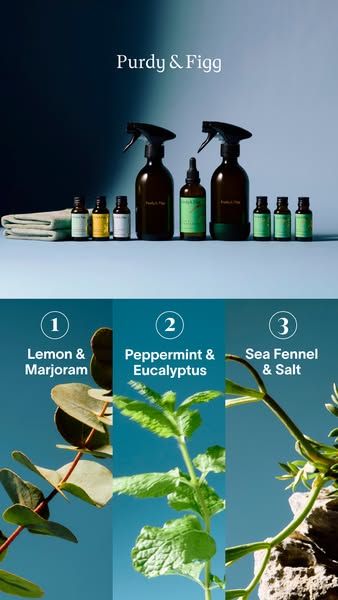 Image ad for Purdy & Figg cleaning products. The top half of the ad showcases the cleaning product bottles, while th